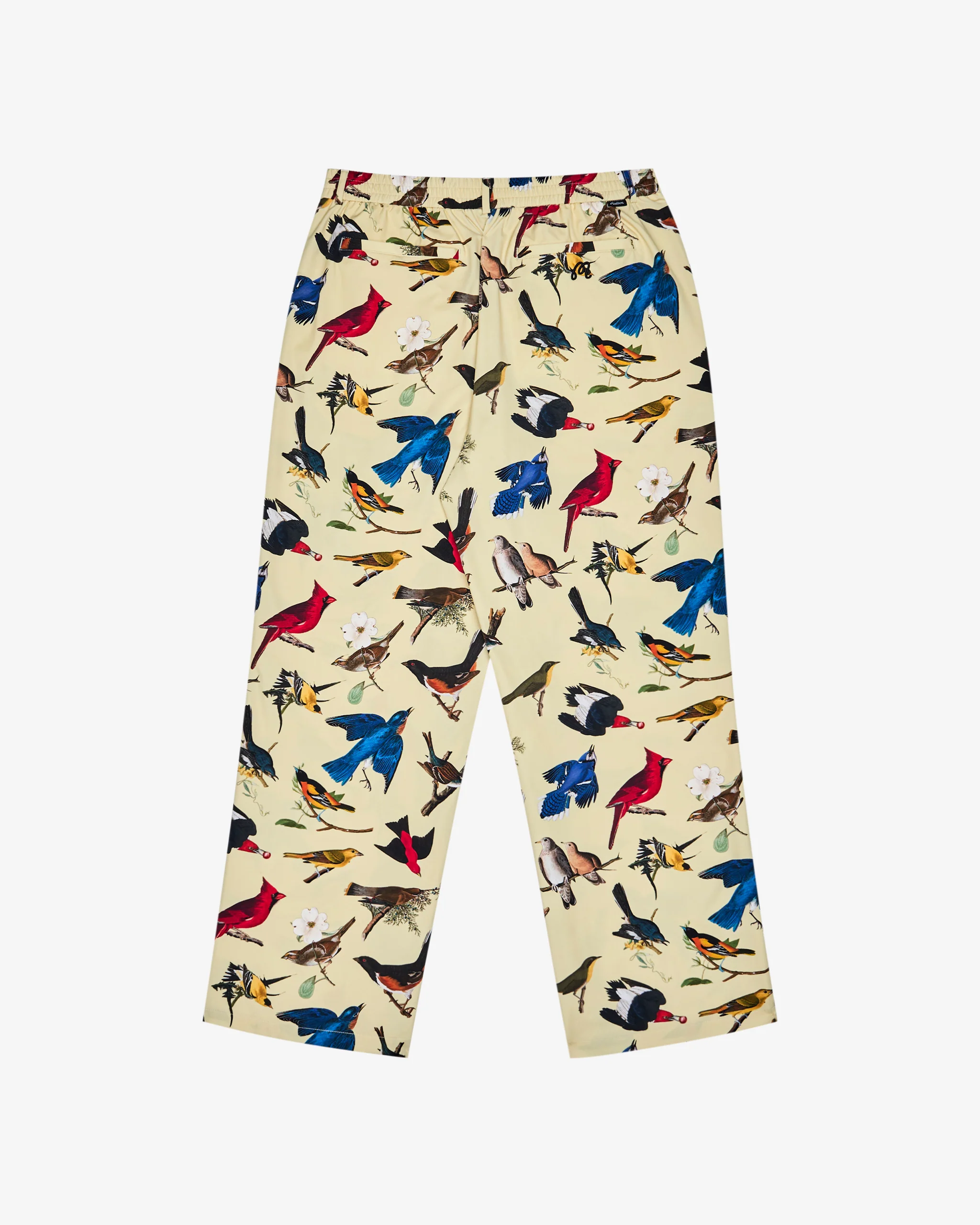 BIRDS OF GEORGIA MAGNOLIA PANT - Image 5